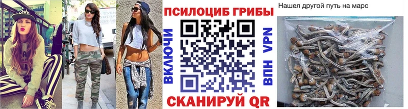 Псилоцибиновые грибы Psilocybe Жигулёвск